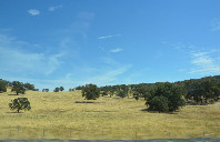 盘点美国留学私立大学和公立大学的区别?