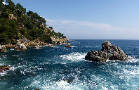 加拿大留学申请步骤