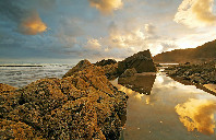 加拿大留学专业要求