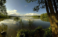 加拿大留学研究生相关奖学金