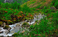 加拿大留学研究生时间规划