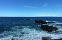 加拿大留学本科双录取介绍