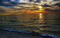 申请加拿大留学的途径