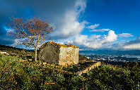 美国留学从高三就要准备了