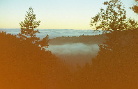 美国留学本科雅思和托福怎么选？