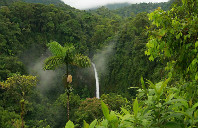 留学美国可以参加哪些竞赛？（下）