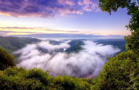 留学美国转学误区