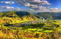 留学美国本科如何定位专业方向？