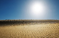 本科生留学加拿大要满足哪些条件？