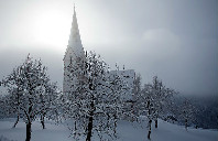 加拿大留学优势专业介绍（下）