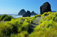 加拿大留学多伦多大学专业介绍（下）