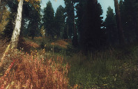 加拿大留学名校优势专业介绍（下）