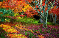 加拿大留学教育类专业如何？