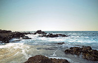 加拿大留学人力资源管理专业介绍（下）