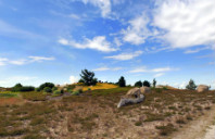 加拿大留学管理学本科介绍（下）