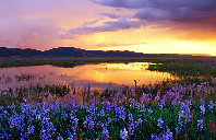 加拿大留学计算机专业讲解