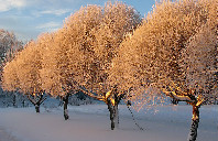 美国留学法律专业申请介绍