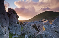 美国申请留学医学专业讲解