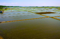 加拿大留学卡尔顿大学都有哪些专业？（上）