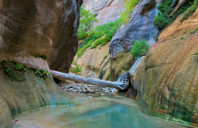 加拿大留学都有哪些受关注的商学院？