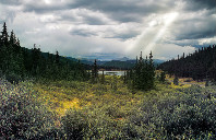 加拿大留学商科专业院校介绍