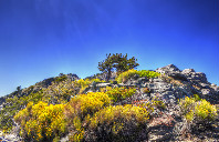 加拿大留学MBA专业院校介绍（中）