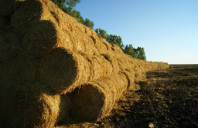 加拿大留学多伦多大学专业介绍