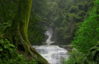 加拿大留学都有哪些著名的商学院？