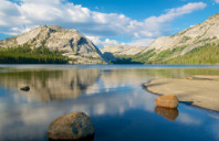 加拿大留学有哪些受欢迎的专业？