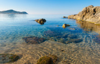 加拿大留学硕士专业介绍