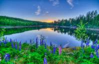 加拿大留学都有哪些热门的移民专业？