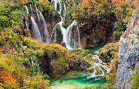 加拿大留学都有哪些商科专业？（下）