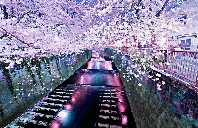 加拿大留学移民专业和优势讲解（上）