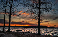 加拿大留学卡尔顿大学本科专业介绍（下）