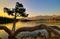 加拿大留学轮休大学都有哪些优秀专业？