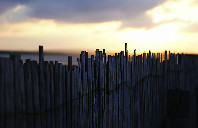 加拿大留学什么院校的经济专业最好？（上）