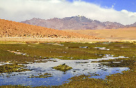 美国留学市场营销专业需要哪些能力？