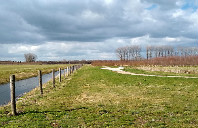 美国留学MBA专业择校需要考虑什么？