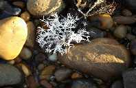 美国留学如何选择自己的专业？