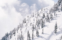 加拿大留学吸引力及院校推荐（下）