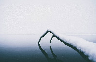 加拿大留学学院和大学有哪些区别？