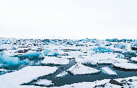 加拿大留学性价比如何？