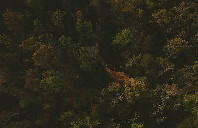 加拿大留学好处介绍