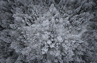 加拿大提前申请留学有哪些优势？