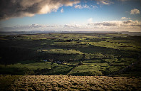 加拿大留学热门商科专业介绍（下）