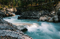 加拿大留学滑铁卢大学热门专业介绍（上）