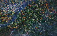 加拿大留学滑铁卢大学热门专业介绍（下）