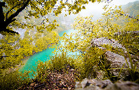 加拿大留学的申请的详细情况