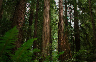 加拿大留学硕士导师该如何挑选？