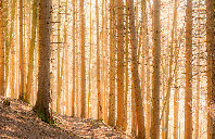 加拿大留学各阶段学制介绍